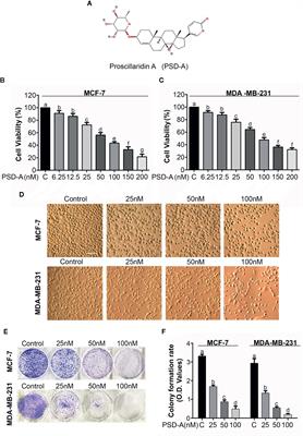 Inhibition of JNK-Mediated Autophagy Promotes Proscillaridin A- Induced Apoptosis via ROS Generation, Intracellular Ca+2 Oscillation and Inhibiting STAT3 Signaling in Breast Cancer Cells